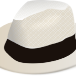 fashion, hat, panama hat-1294007.jpg