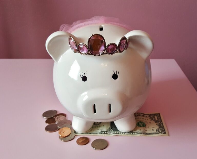 piggy bank, pig, piggy-1446874.jpg